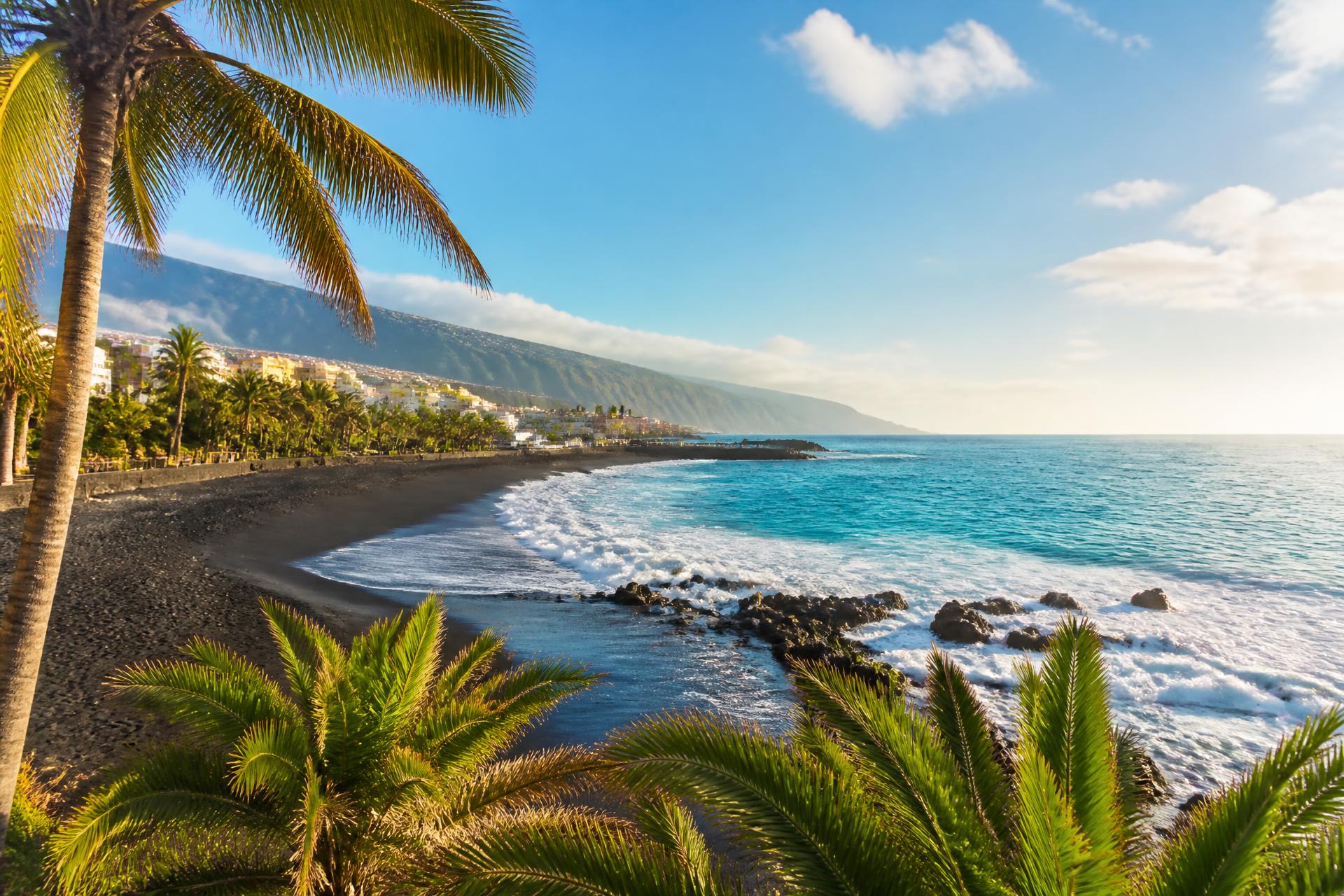 Playa de Puerto de la Cruz with palm trees and turquoise Atlantic waters